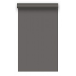 Фон бумажный BD 1.35х11,0м -Тёмно-серый (Thunder GRAY) 13152