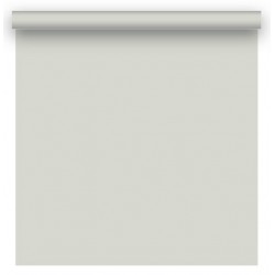 Фон бумажный BD 2,72х11,0м - Светло-серый (Foto GRAY) 153BDCW 