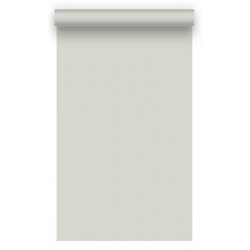 Фон бумажный BD 1,35х11,0м - Светло-серый (Foto GRAY) 15352