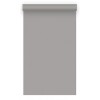 Фон бумажный BD 1.35х11,0м - Серый (Concrete) 170A2