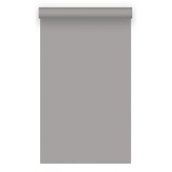 Фон бумажный BD 1.35х11,0м - Серый (Concrete) 170A2