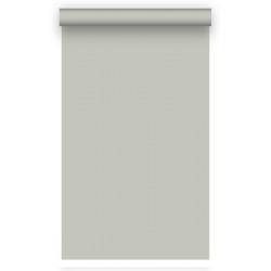 Фон бумажный BD 1,35х11,0м - Светло-серый (Concrete GRAY) 17052 