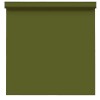 Фон бумажный BD 2,72х11,0м - Хаки (Cactus) 234A1
