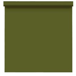 Фон бумажный BD 2,72х11,0м - Хаки (Cactus) 234A1
